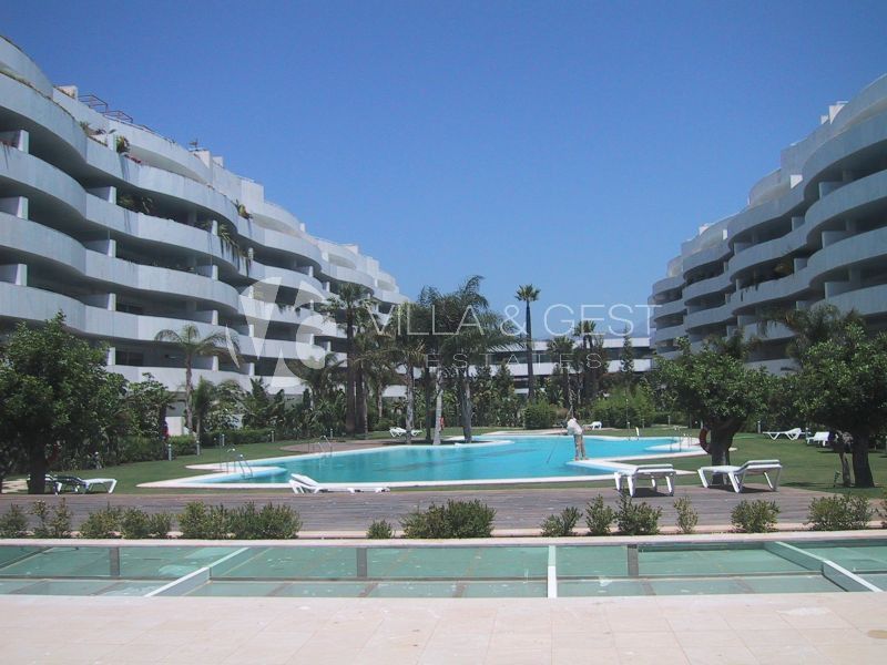 El Embrujo Banus