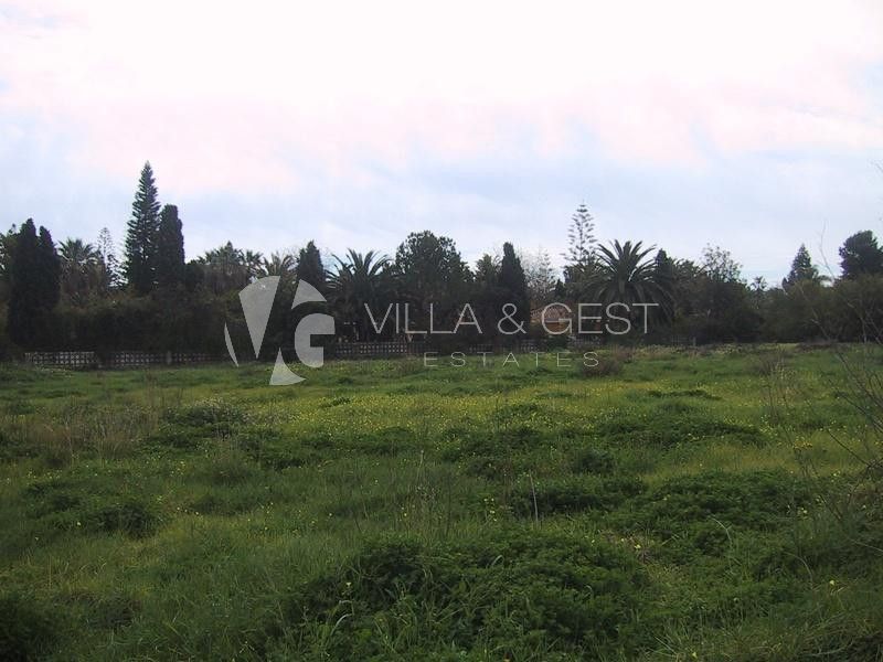 Great plots in Guadalmina Baja.